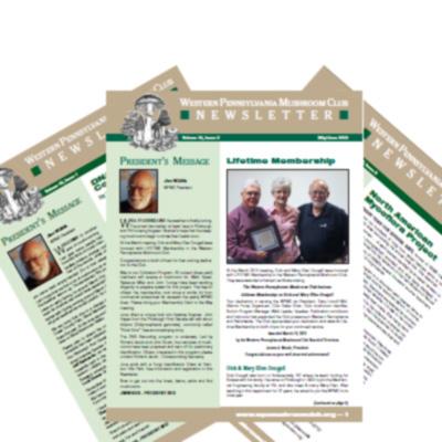 Newsletters