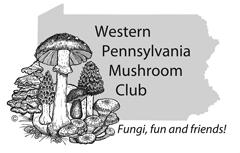 Mushroom art class 1