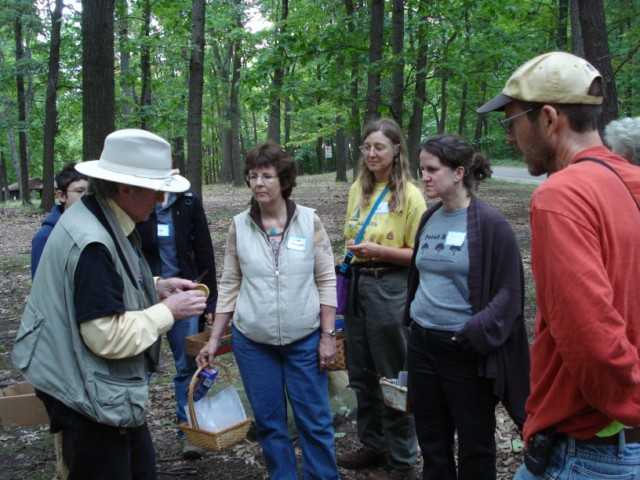 Mushroom Mania 2009