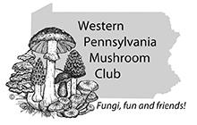 Mushroom art class 1