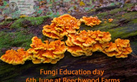 Fungi Education Day registration open
