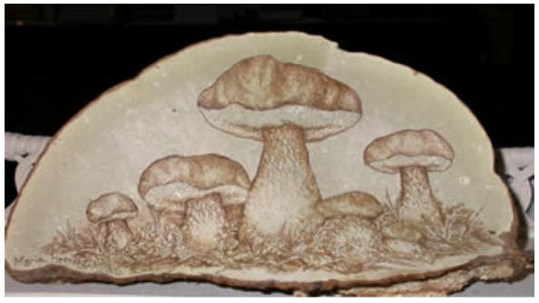 Introduction to Polypores