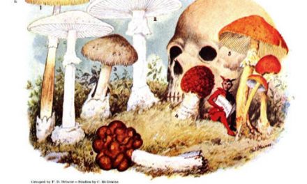 Old mushrooms texts available for free on the internet.
