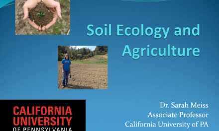Soil Ecology and Agriculture