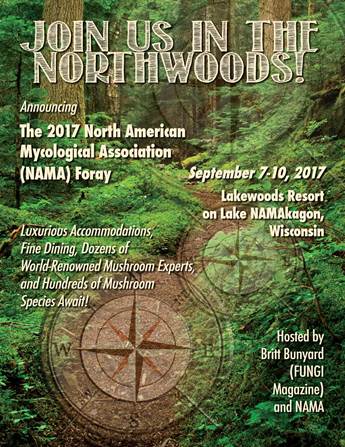 NAMA 2017 foray in The Northwoods