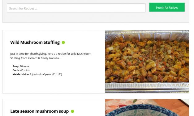 Introducing the new recipe section and our first recipe: Wild Mushroom Stuffing
