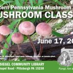 Mushroom Education Classes