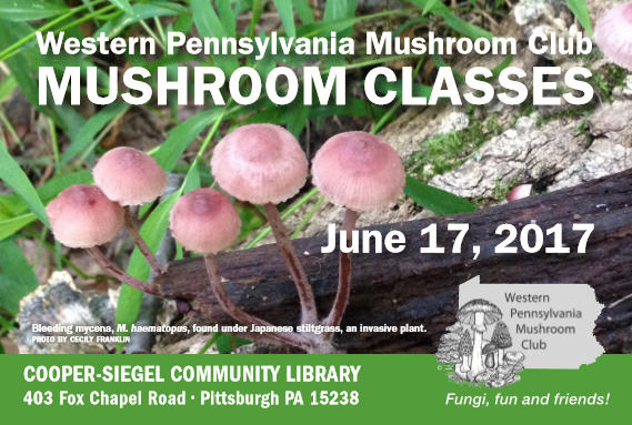 Mushroom Education Classes