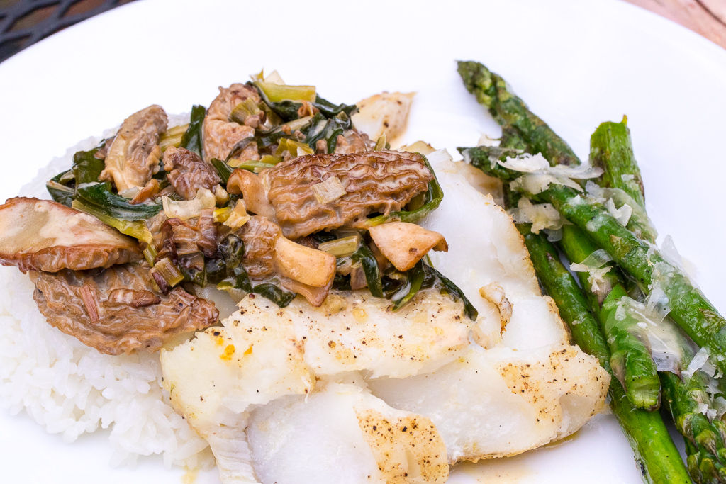 Fish with morel and ramp cream sauce Western Pennsylvania Mushroom Club