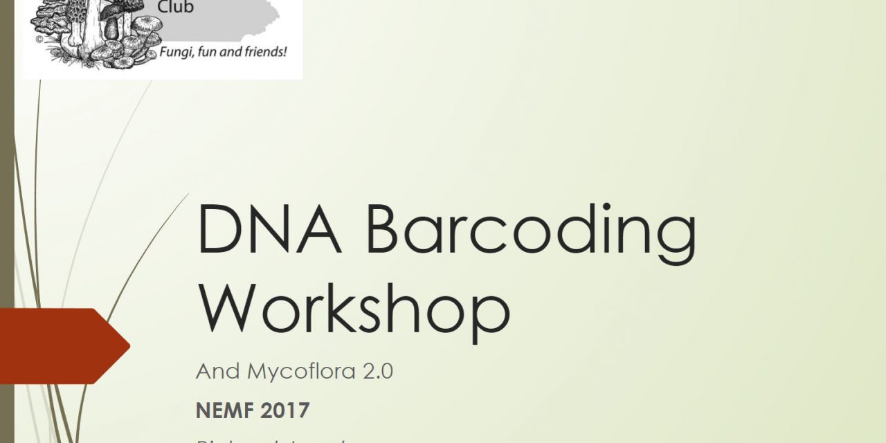 DNA Barcoding workshop presented at NEMF 2017