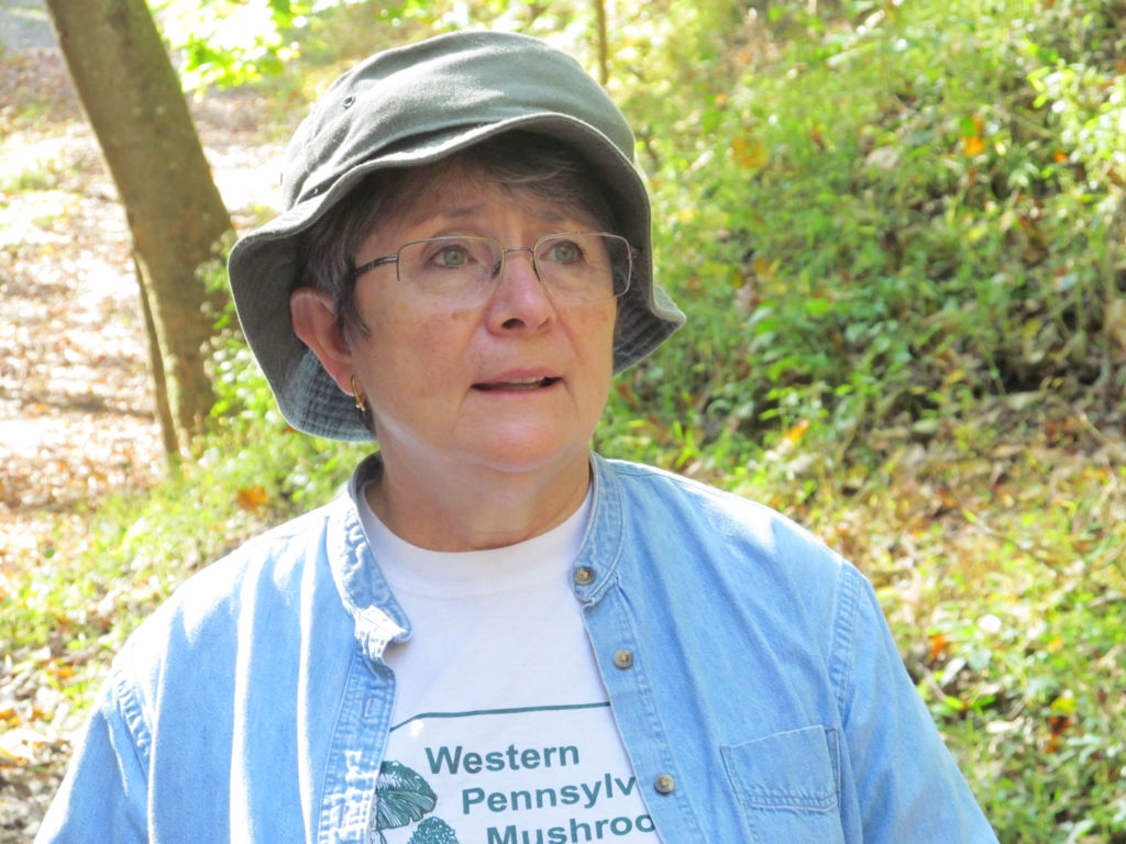 Audubon Greenway with Allegheny Land Trust