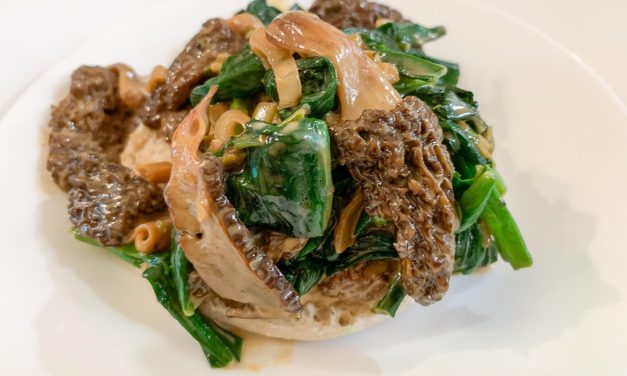 Morels and ramps in cream sauce on muffins