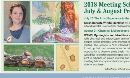 July-August newsletter published.