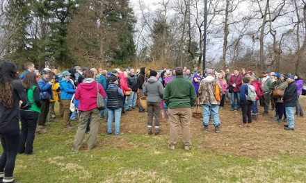 Species list from Hartwood Acres on 03/30/2019