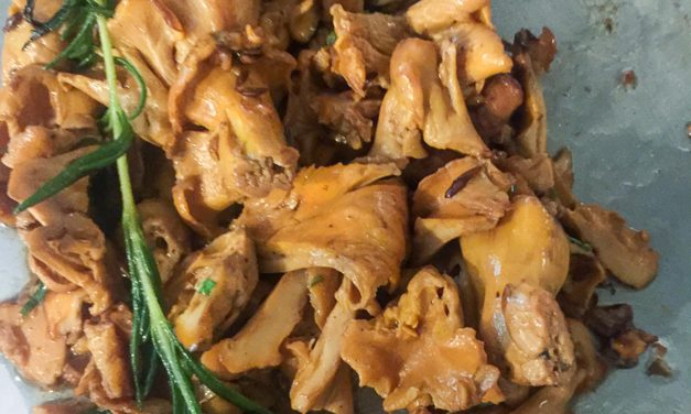 Spiced wild mushrooms