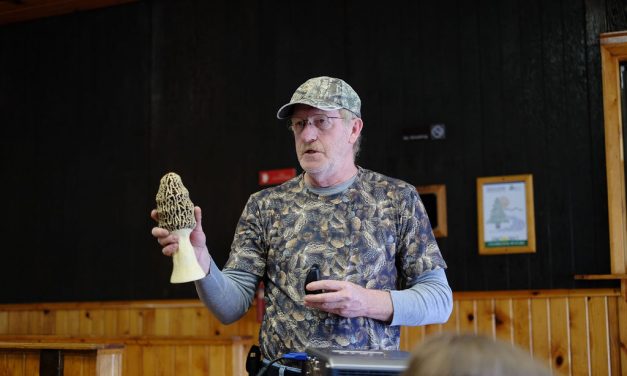 Pictures from Morel talk and walk at Pine Ridge Park (with Indiana County Friends of the Parks)