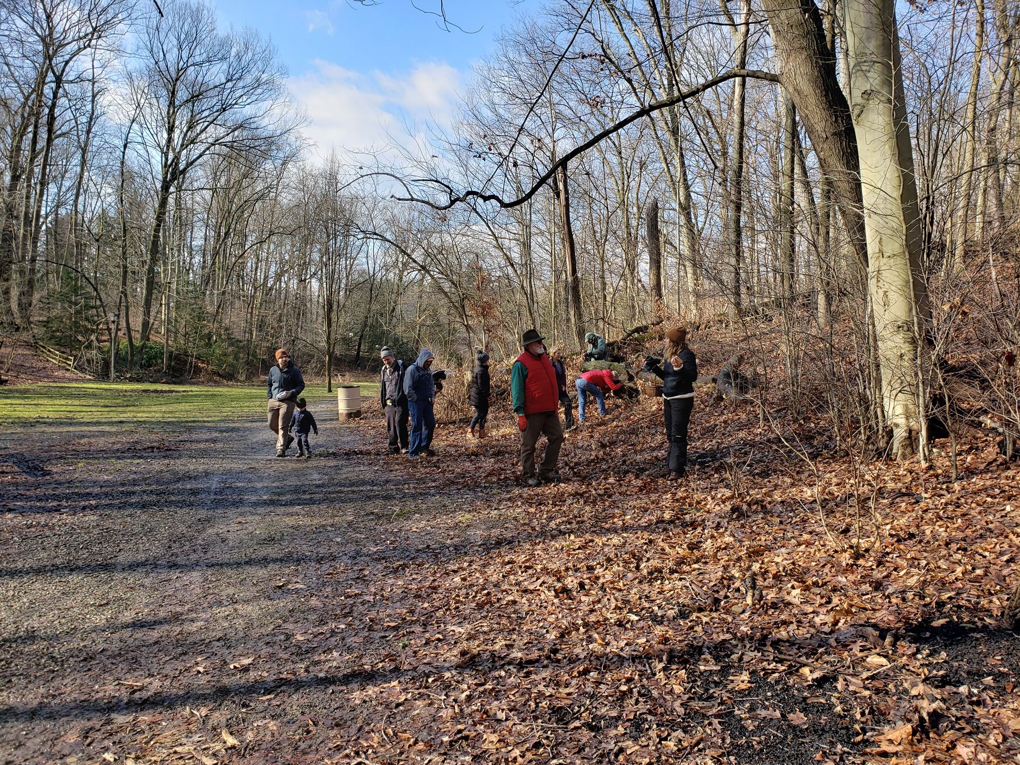 Lichen Walk at Allegheny Commons with Pittsburgh Parks Conservancy