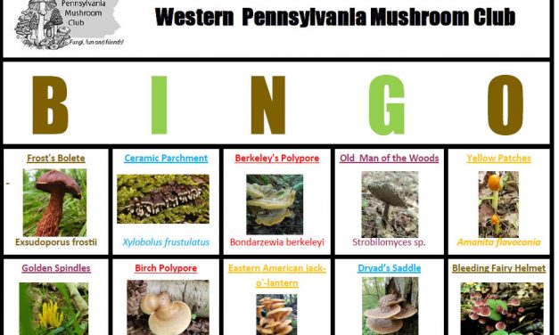 WPMC Summer Mushroom BINGO 2020