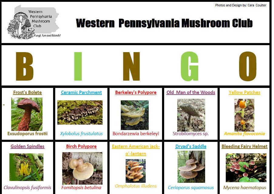 WPMC Summer Mushroom BINGO 2020