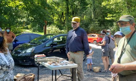 Species list from Linbrook Woodlands (Sewickley) with Allegheny Land Trust on 07/25/2020