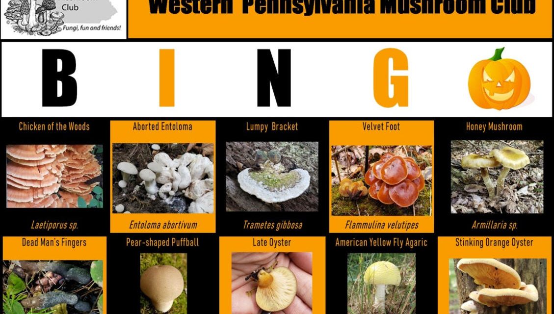 WPMC Fall Mushroom BINGO 2020 Runs through November