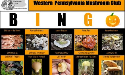 WPMC Fall Mushroom BINGO 2020 Runs through November