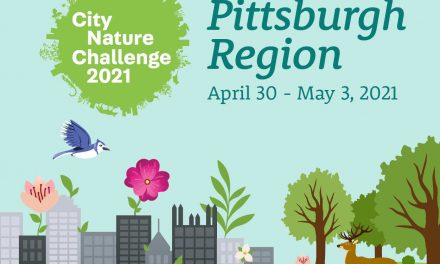 2021 Pittsburgh City Nature challenge starts today!