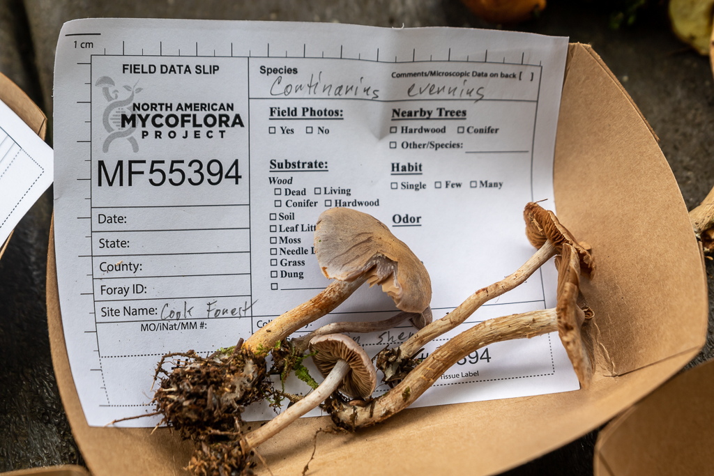 Mushroom Education Day 2022