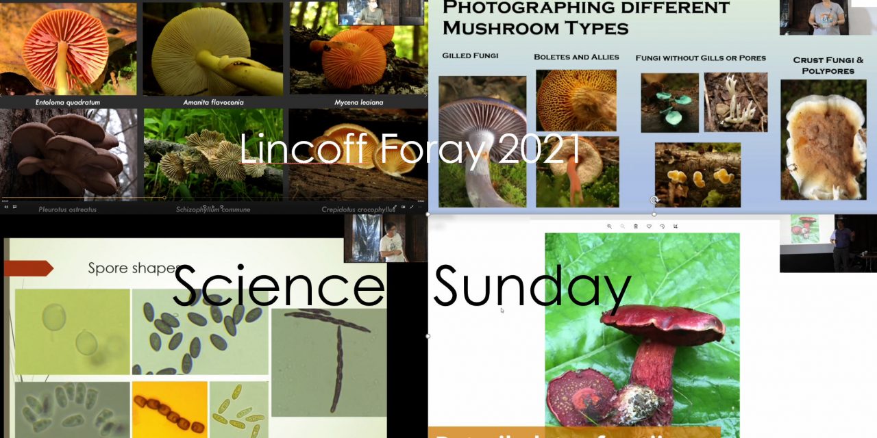 Lincoff foray presentations and Science Sunday