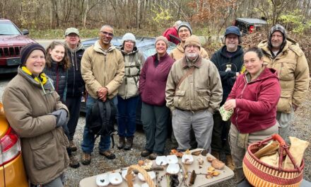 Species list from Grindstone Falls on 11/13/2022