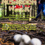 Evening Mushroom walk at Beechwood farms