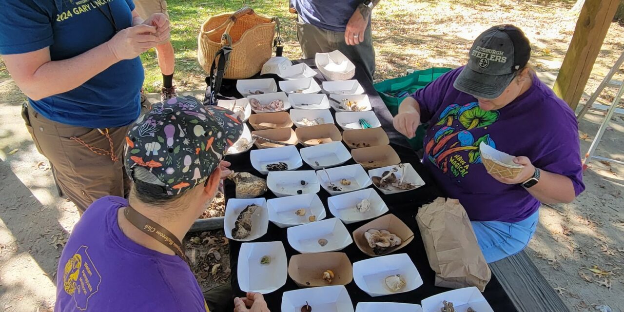 Species list from Peter’s Lake Park with Upper Chartiers Creek Watershed Assoc. on 10/05/2025
