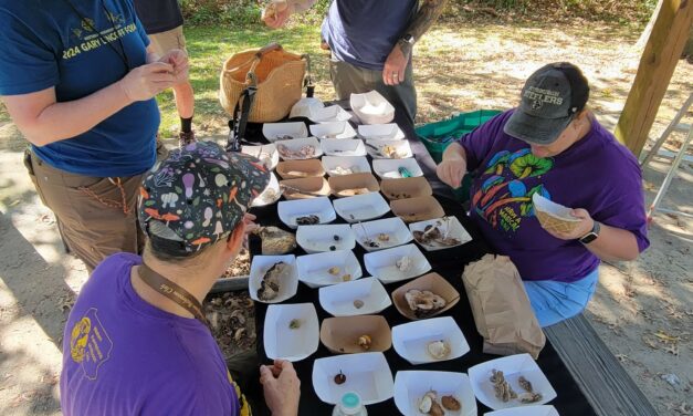 Species list from Peter’s Lake Park with Upper Chartiers Creek Watershed Assoc. on 10/05/2025