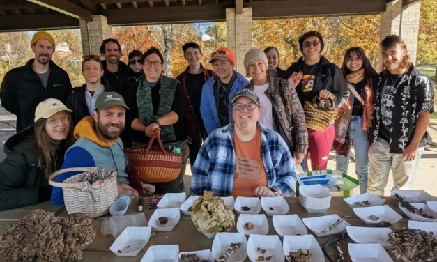 Species list from Boyce Mayview Pavilion Walk on 10/26/2025