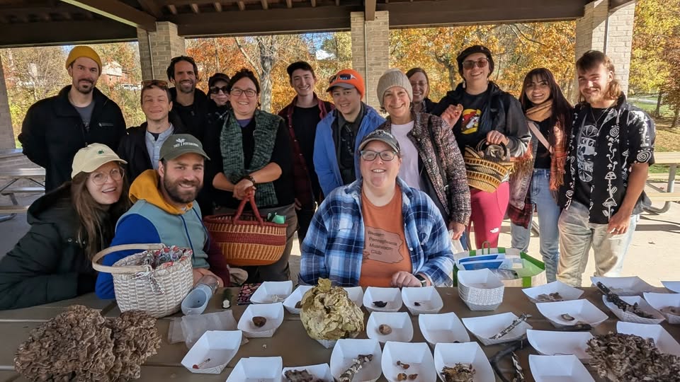 Species list from Boyce Mayview Pavilion Walk on 10/26/2025