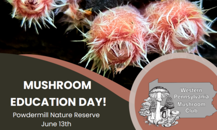 Mushroom Education Day 2026